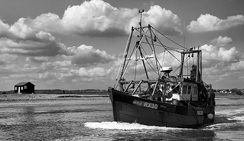 DDOS在线压力测试