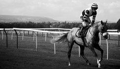 ddos攻击器安卓ios下载