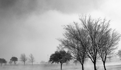 平台在线ddos压力测试